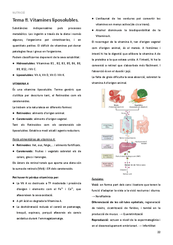 Miniatura del documento TEMA-8.pdf