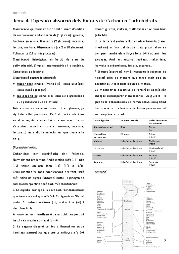 Miniatura del documento TEMA-4.pdf