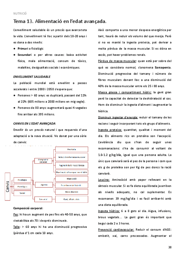 Miniatura del documento TEMA-13.pdf