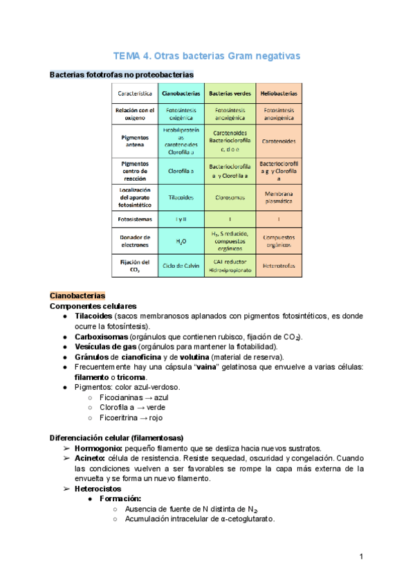 Miniatura del documento TEMA-4.pdf