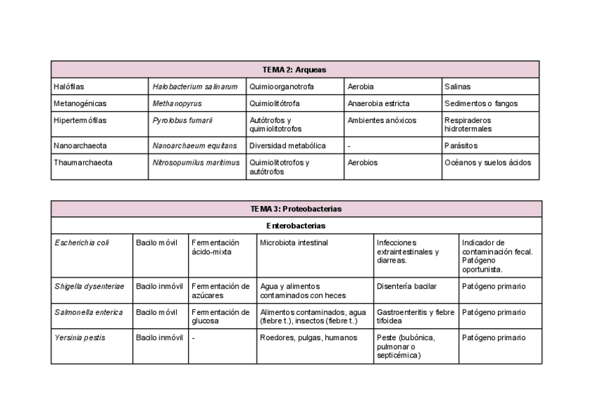 Miniatura del documento Esquema.pdf