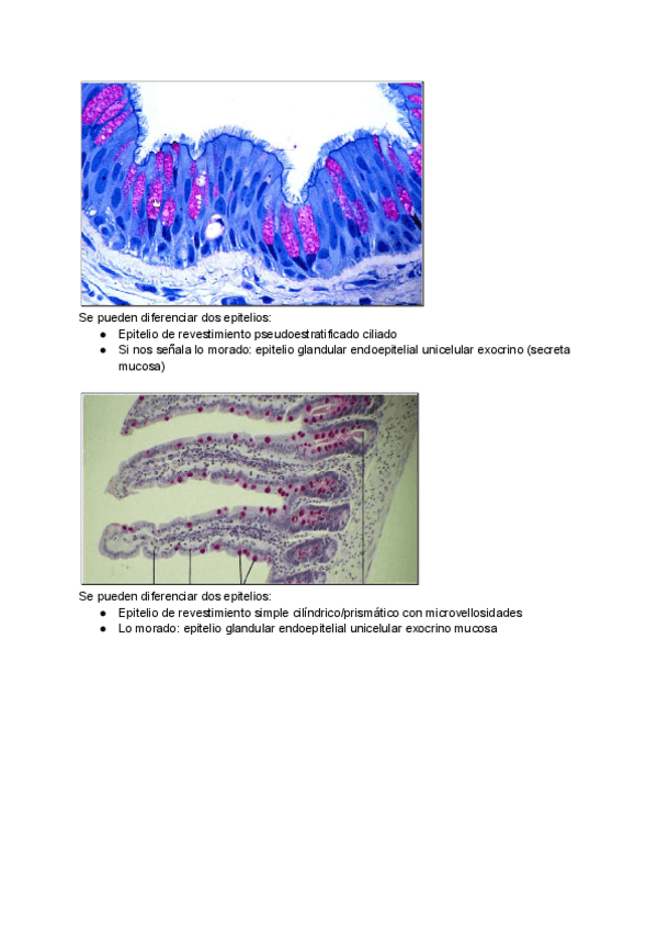 Miniatura del documento Imagenes-Practicas-de-Aula.pdf