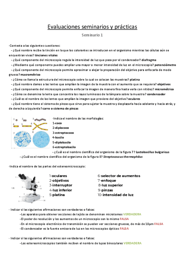 Miniatura del documento EVALUACIONES-SEMINARIOS.pdf