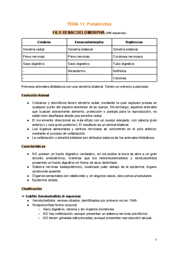 Miniatura del documento TEMA-11-Platelmintos.pdf
