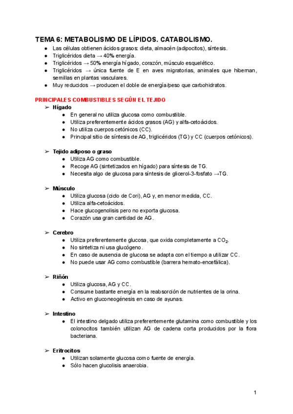 Miniatura del documento TEMA-6-METABOLISMO-DE-LIPIDOS.pdf