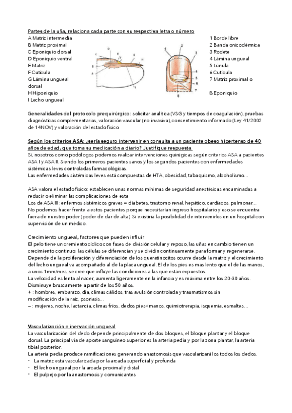 Miniatura del documento POSIBLES-PREGUNTAS-.pdf