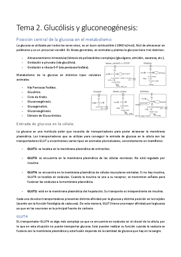 Miniatura del documento Tema-2.pdf