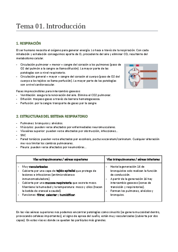 Miniatura del documento Temario-completo-respiratorio-y-cardiovascular.pdf