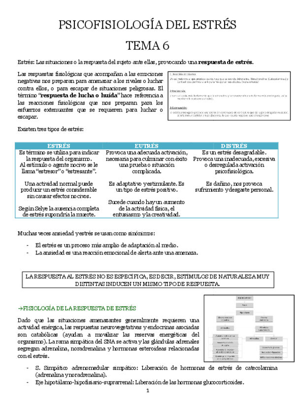 Miniatura del documento Tema-6.pdf