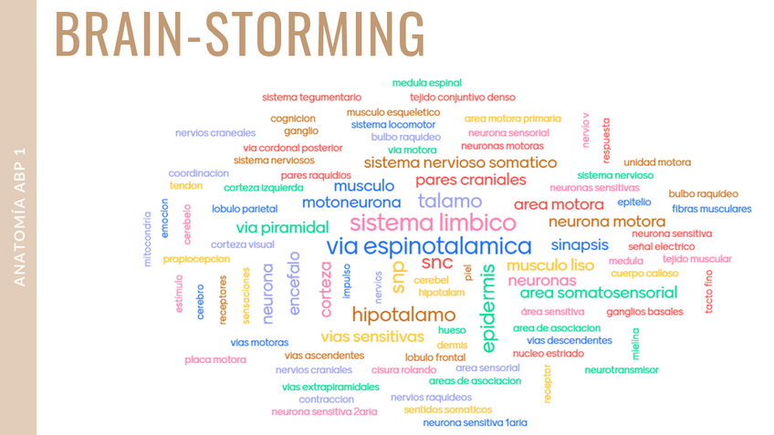 Miniatura del documento Anatomia-ABP-1-copia.pdf