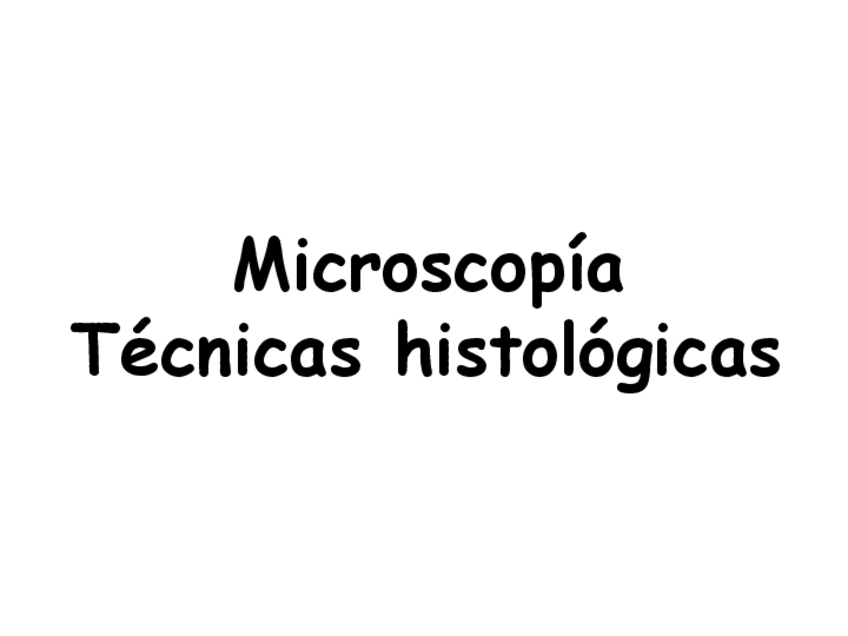 Miniatura del documento Metodologia-de-Estudios.pdf