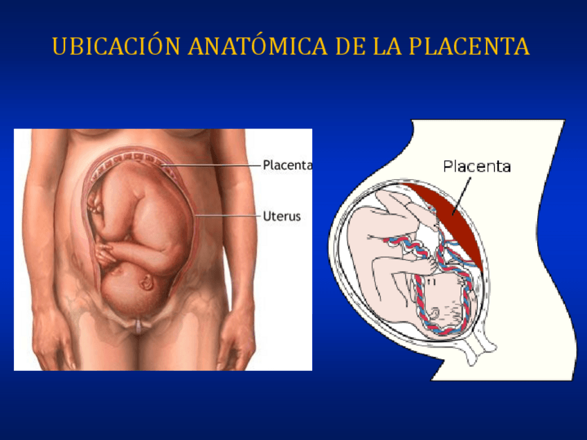 Miniatura del documento Placenta-y-Mamas.pdf