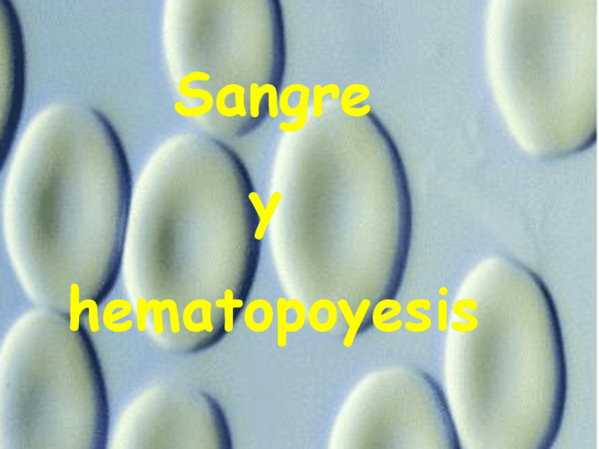 Miniatura del documento Sangre.pdf