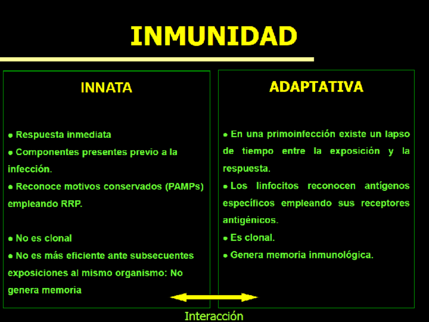 Miniatura del documento Inm-Adaptativa.pdf