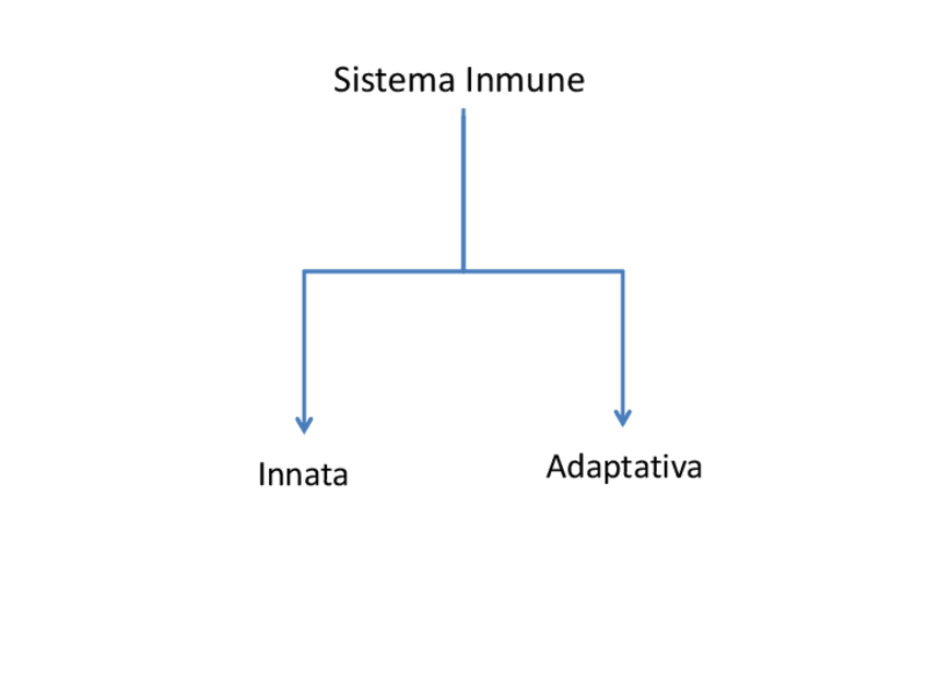 Miniatura del documento Inm-Innata-I.pdf