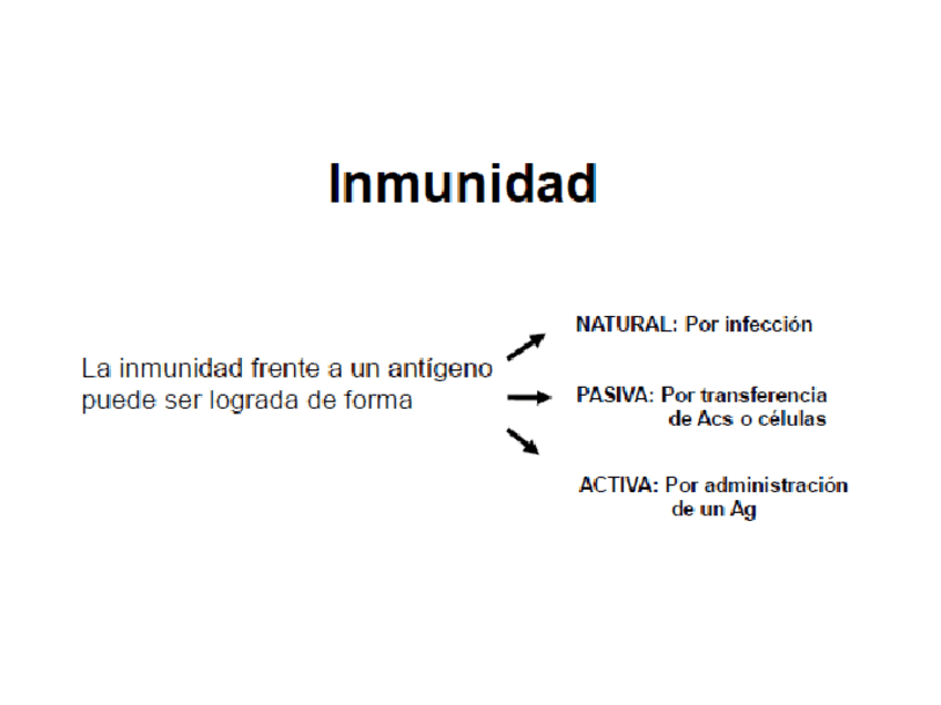 Miniatura del documento Memoria-y-Vacunas.pdf