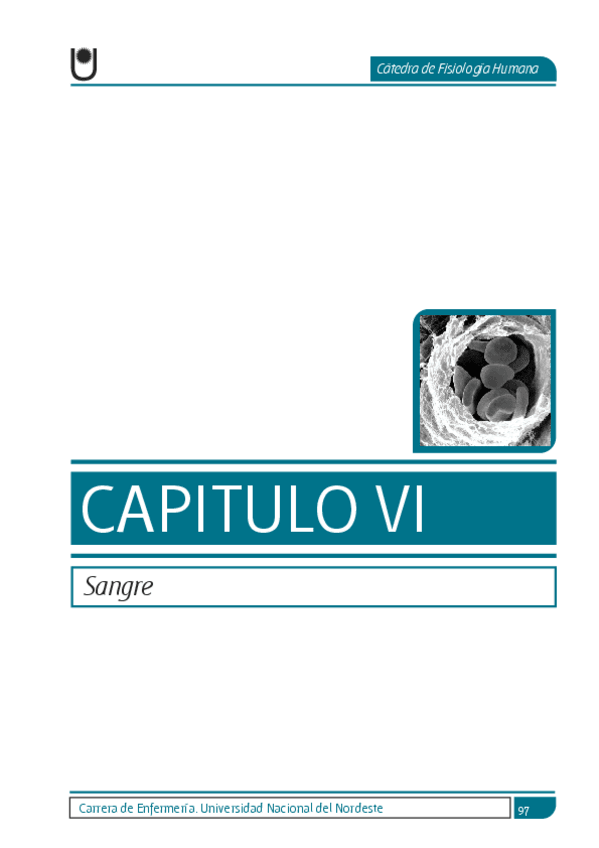 Miniatura del documento Sangre.pdf