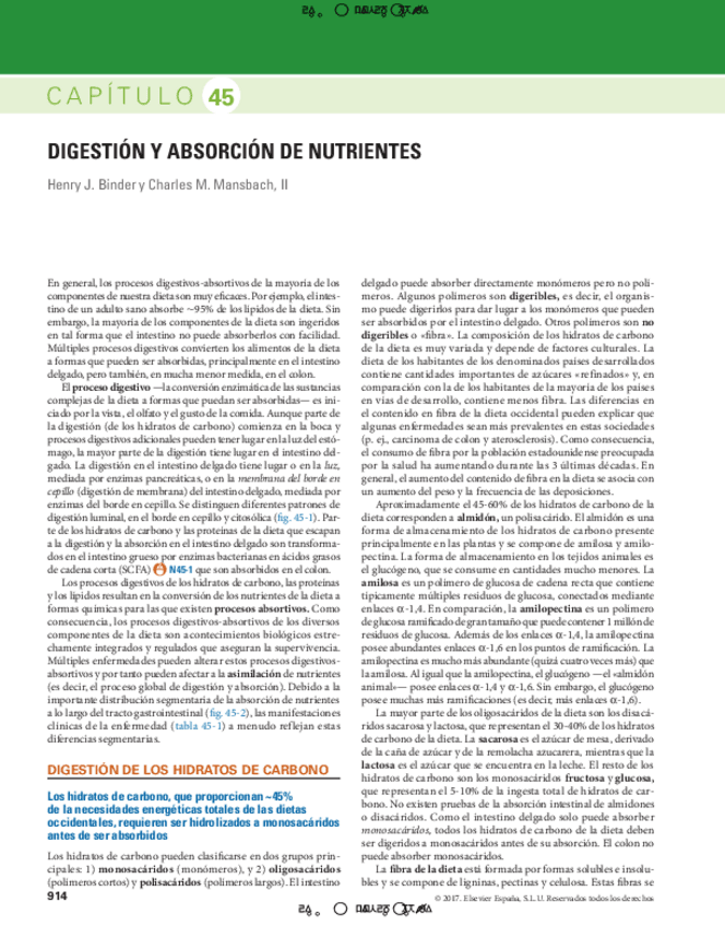 Miniatura del documento Dig-y-abs-de-nutrientes.pdf