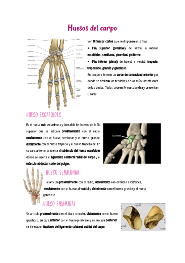 Miniatura del documento Mano.pdf