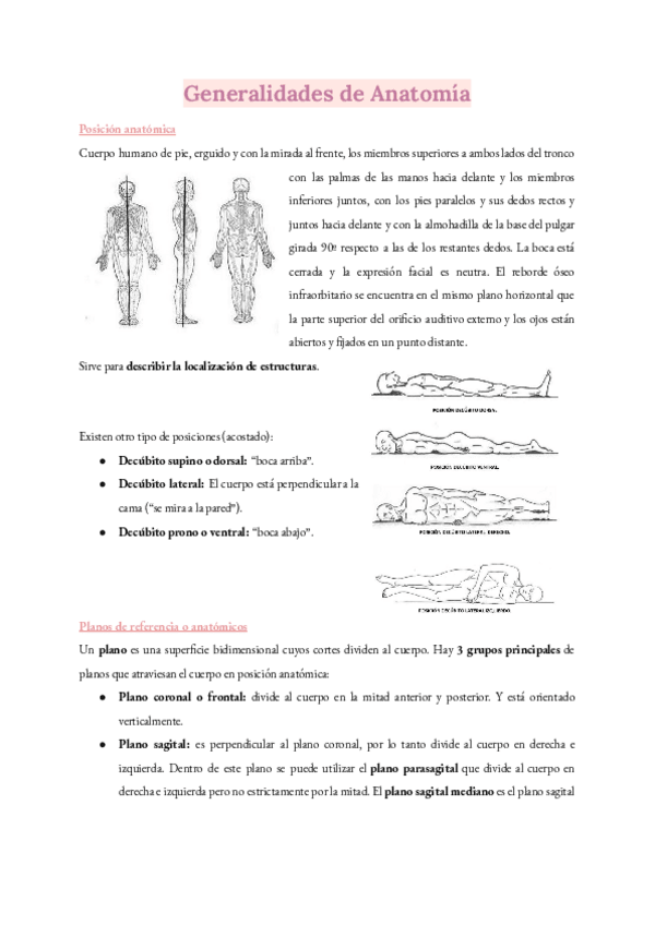 Miniatura del documento Generalidades-de-Anatomia.pdf
