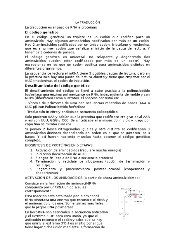 Miniatura del documento apuntes-tema-5.docx