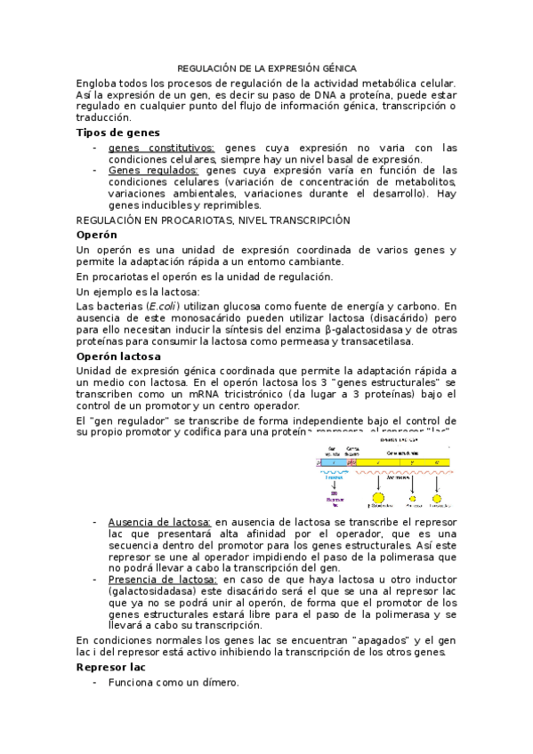 Miniatura del documento apuntes-tema-6.docx