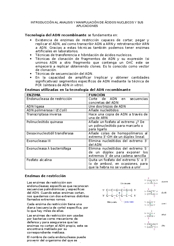 Miniatura del documento apuntes-tema-3.docx