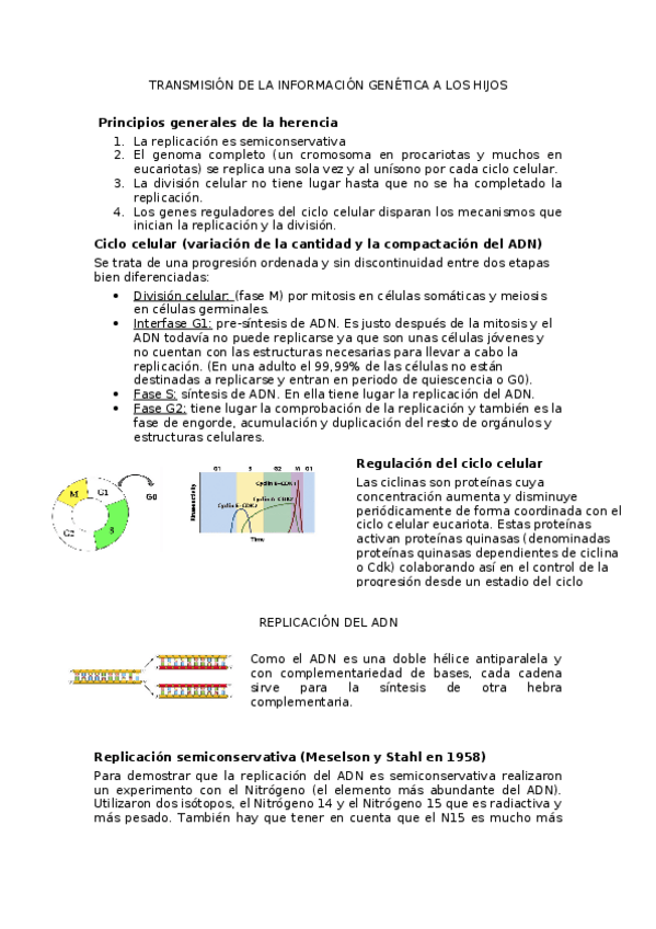 Miniatura del documento apuntes-tema-2.docx
