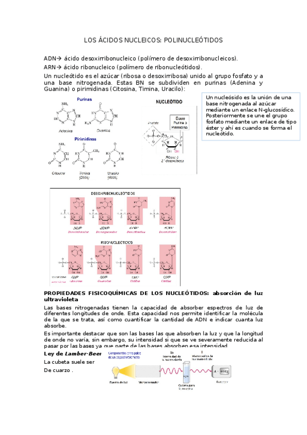 Miniatura del documento apuntes-tema-1.docx