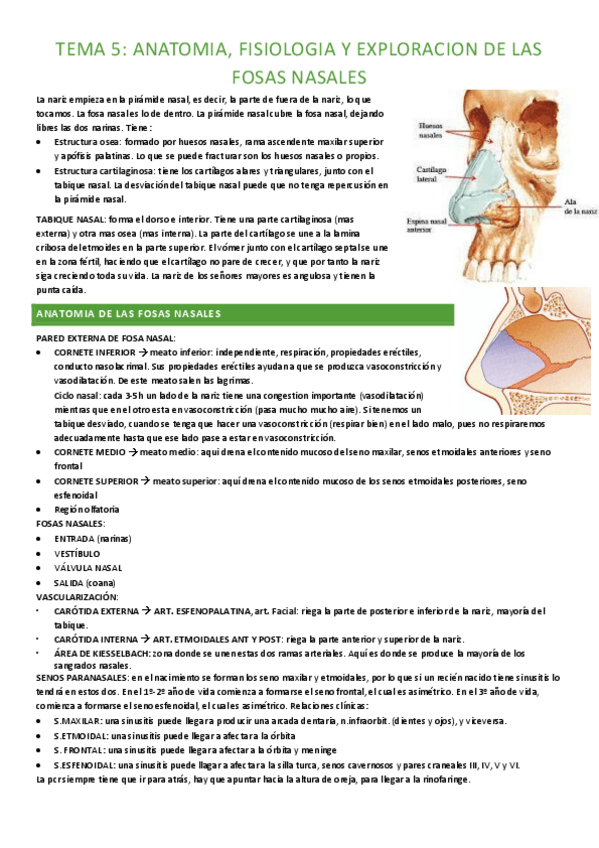Miniatura del documento tema-5-completo.pdf