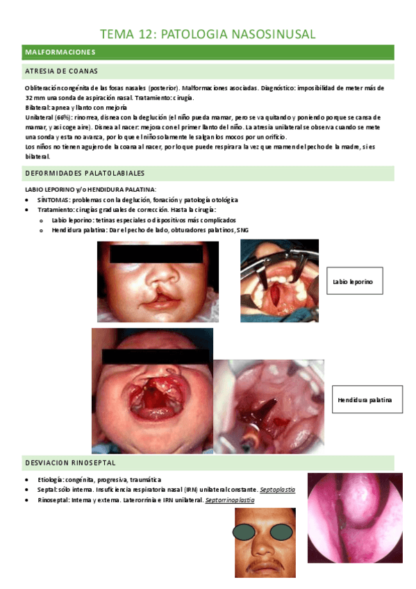 Miniatura del documento tema-12-completo.pdf