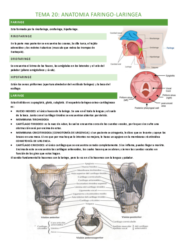 Miniatura del documento tema-20-completo.pdf