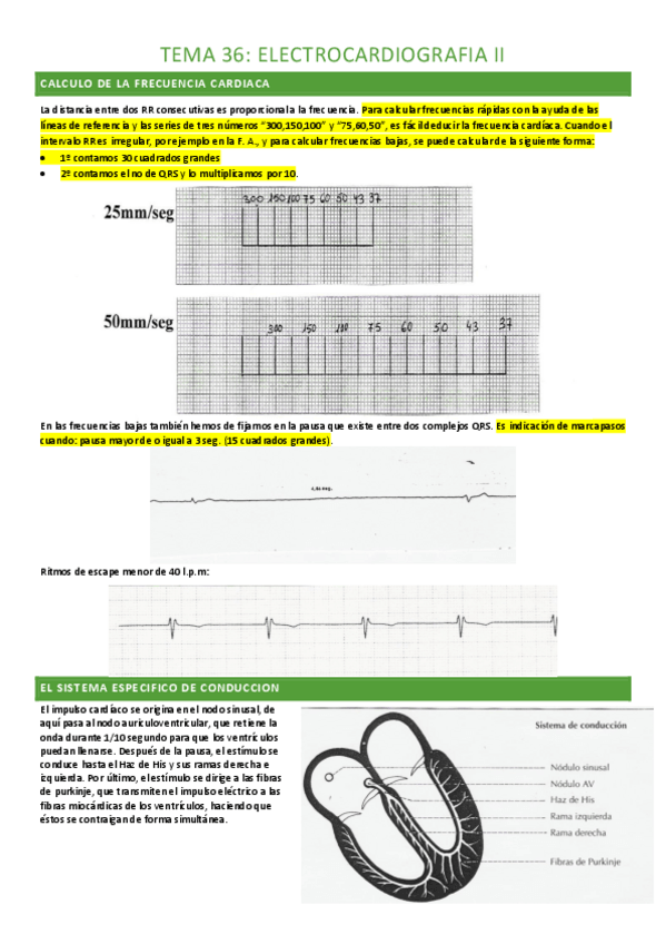 Miniatura del documento tema-36-completo.pdf