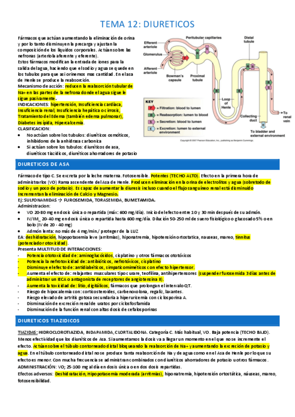 Miniatura del documento tema-12-completo.pdf