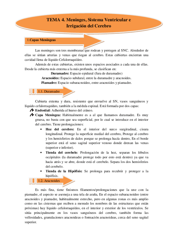 Miniatura del documento TEMA 4. Meningues Sistema Ventricular e Irigación del Cerebro.pdf