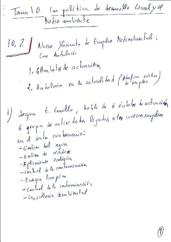 Miniatura del documento TEMA 1 pdl.doc