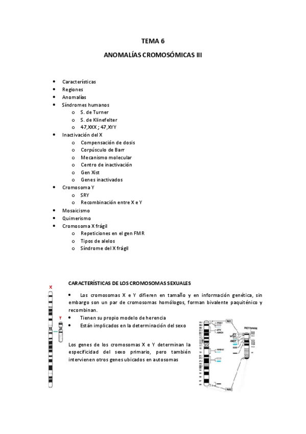Miniatura del documento TEMA-6.pdf