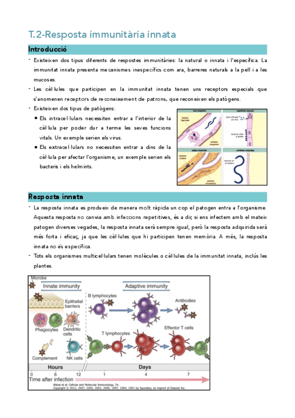 Miniatura del documento Immuno-TOT-el-temari-Azucena.pdf