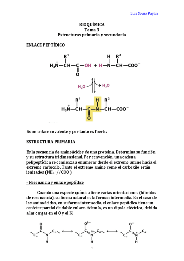 Miniatura del documento BIOQ Tema 3.pdf