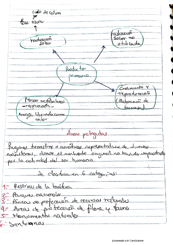 Miniatura del documento quimica7.pdf