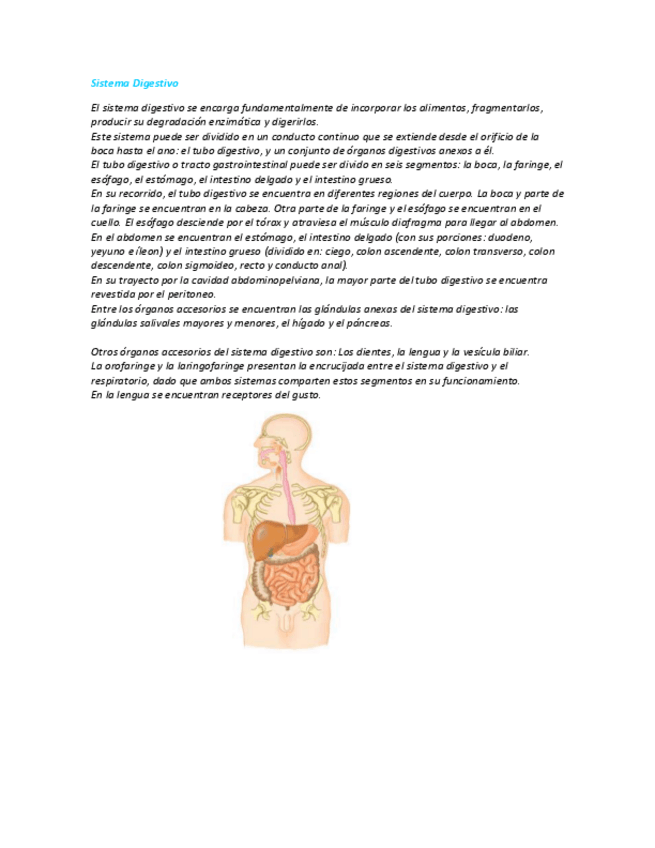 Miniatura del documento Sistema-Digestivo-generalidades.pdf