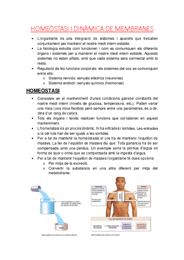 Miniatura del documento Fisiologia-Homeostasi-i-fisiologia-de-membrana.pdf