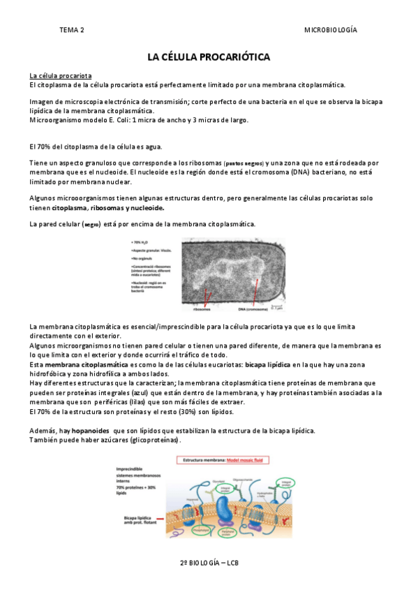 Miniatura del documento tema-2.pdf