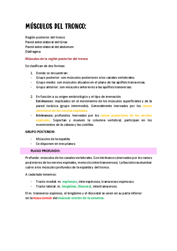 Miniatura del documento Musculos-miembro-superior.pdf