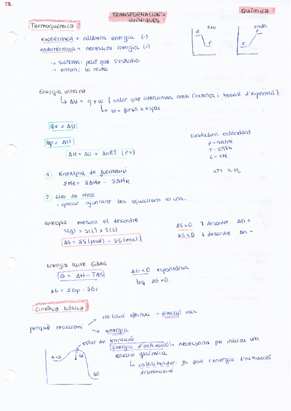 Miniatura del documento ResumT3TransformacionsQuimiques.pdf