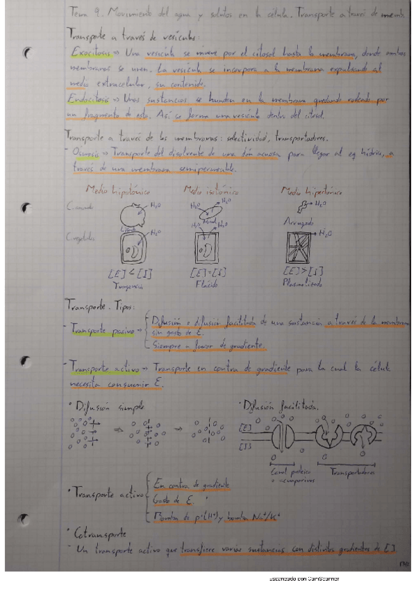 Miniatura del documento T9.pdf