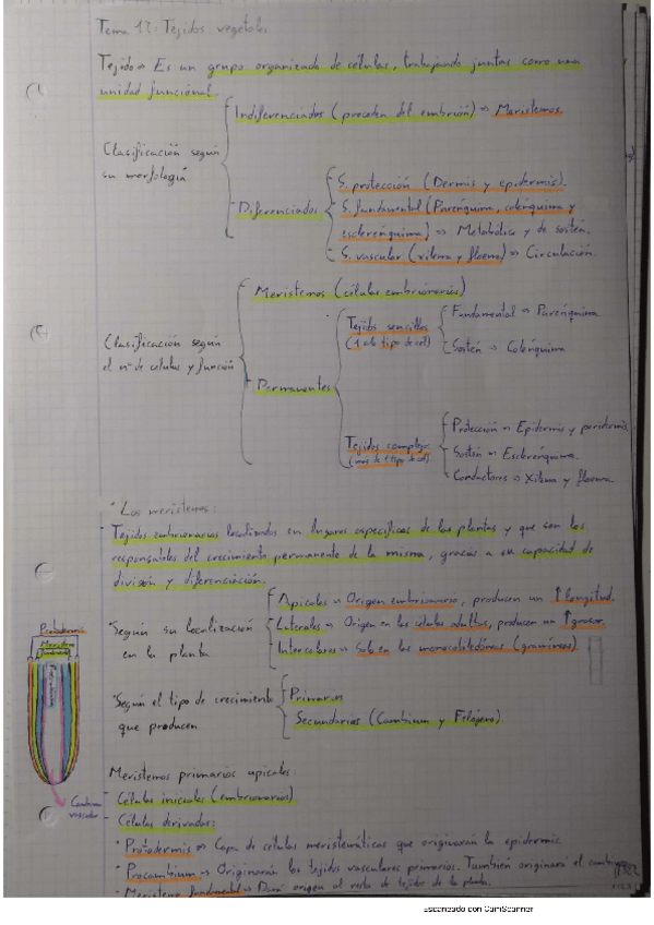Miniatura del documento T12.pdf