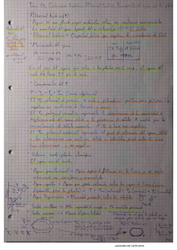 Miniatura del documento T14.pdf