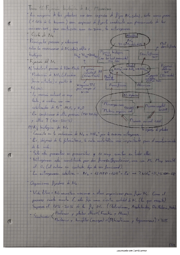 Miniatura del documento T16.pdf