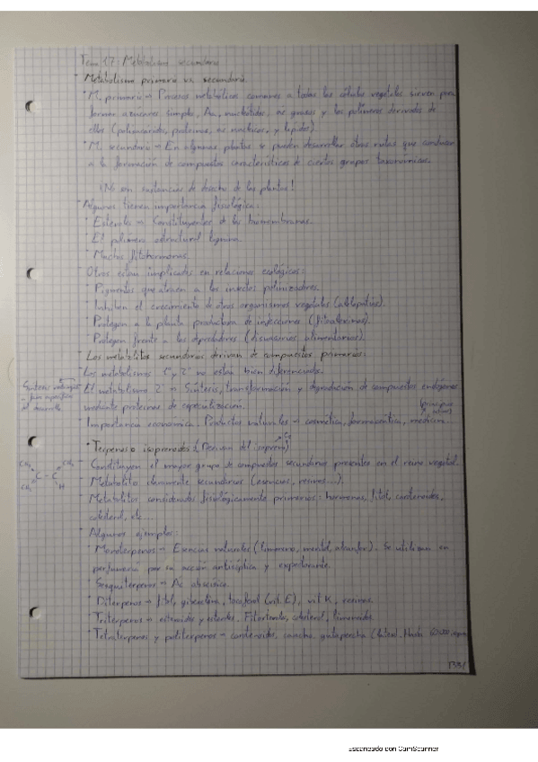 Miniatura del documento T17.pdf